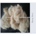 Clean Wool Waste Best sale